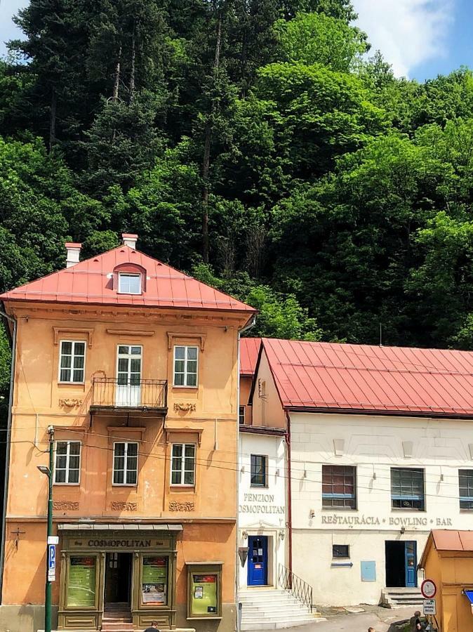 Penzion Cosmopolitan I. Banská Štiavnica Kültér fotó